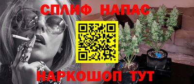 спайс Кандалакша