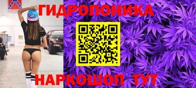 мяу мяу мука Канаш